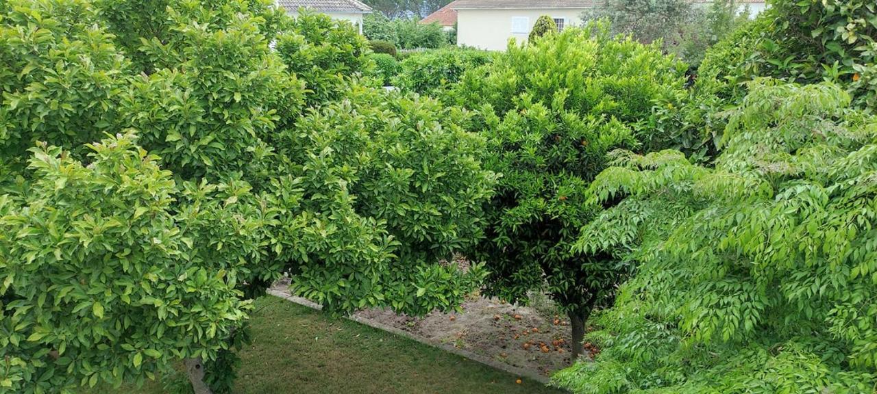 Villa Casa Dos Avos Canas de Senhorim Esterno foto