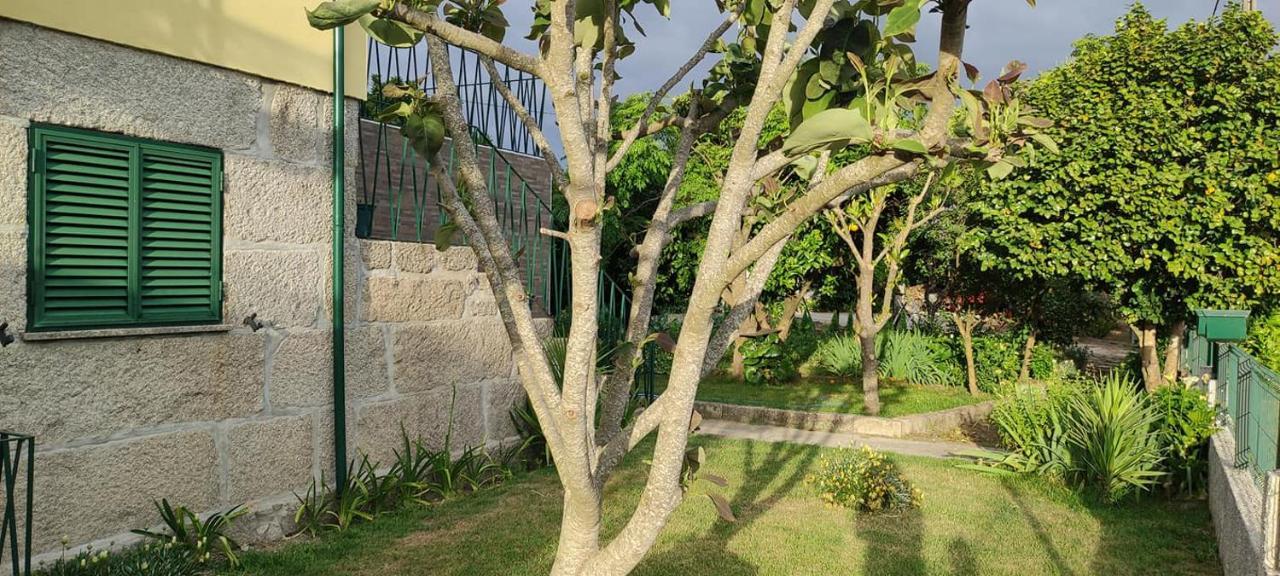 Villa Casa Dos Avos Canas de Senhorim Esterno foto