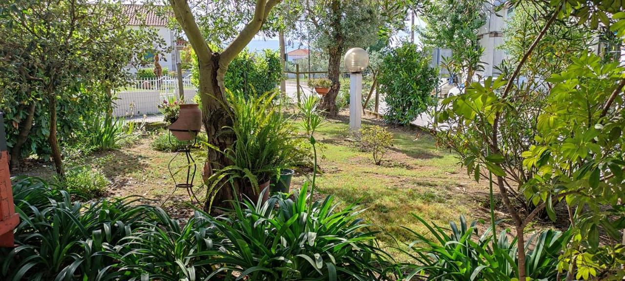Villa Casa Dos Avos Canas de Senhorim Esterno foto