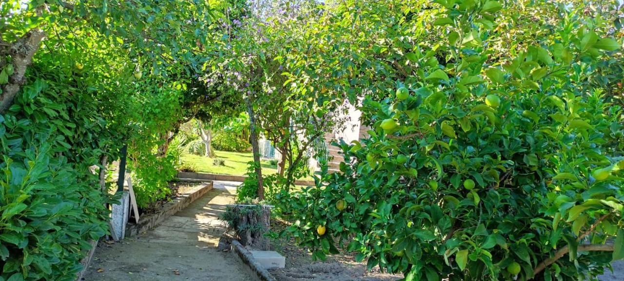 Villa Casa Dos Avos Canas de Senhorim Esterno foto